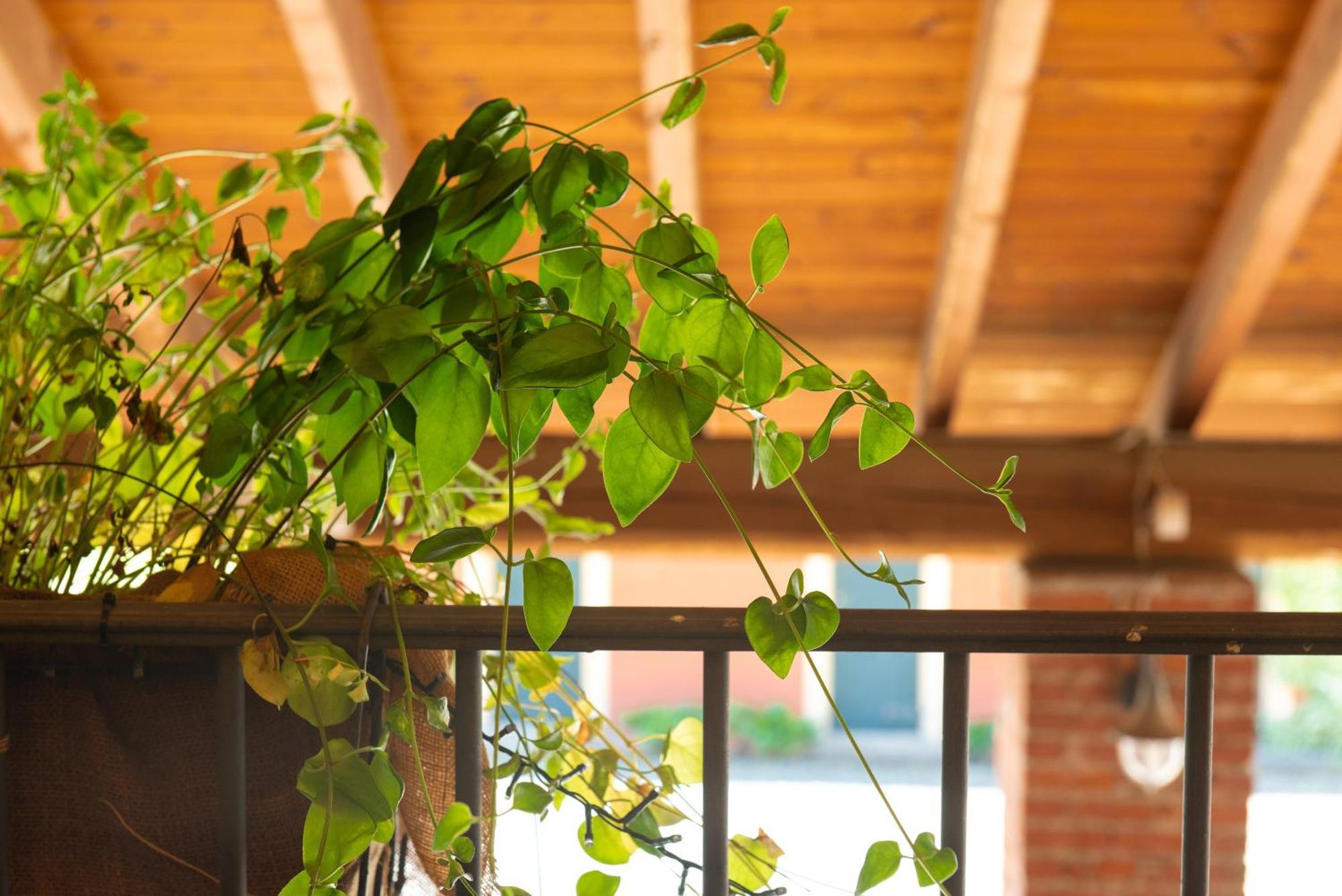 Country House Cascina Orto Pasturana Exterior foto